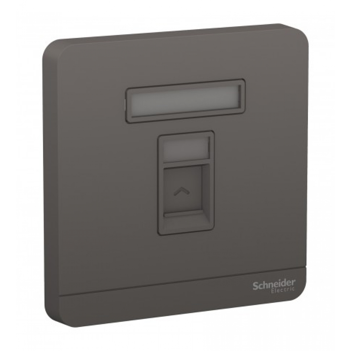 Schneider Electric AvatarOn 單位RJ45八線6e類數據插座 (石墨灰)